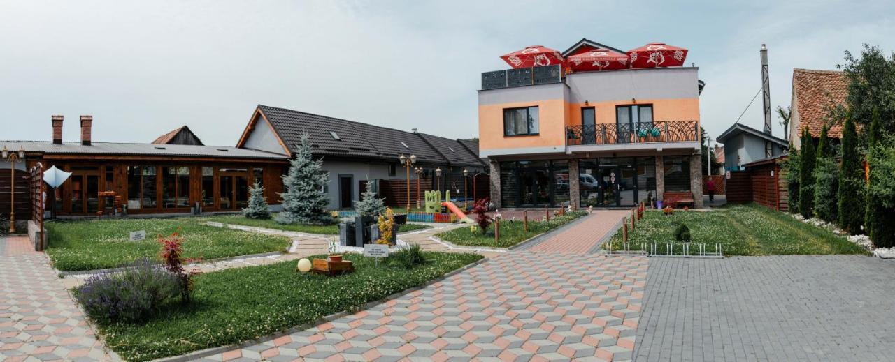 Pensiune Confort Morosanu Sinca Veche Zewnętrze zdjęcie